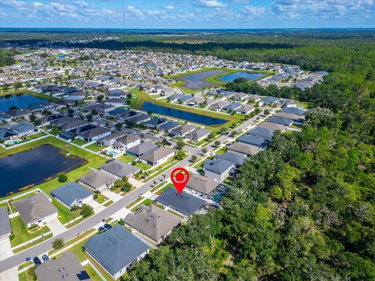 12961 SATIN LILY DRIVE, RIVERVIEW, FL, photo 38 of 58